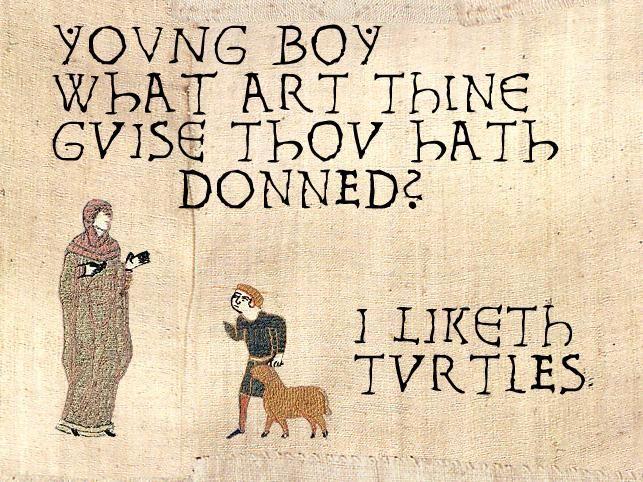 I Like Turtles