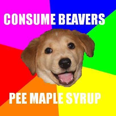 Advice Dog