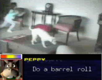 Do A Barrel Roll