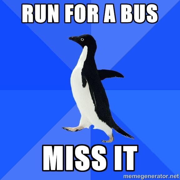 Socially Awkward Penguin