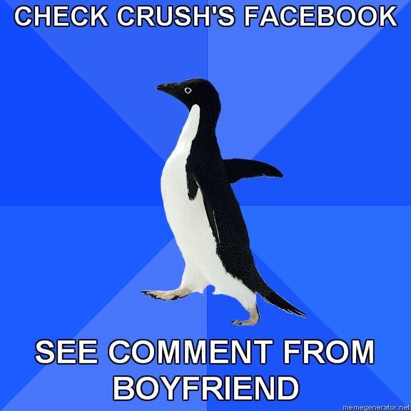 Socially Awkward Penguin