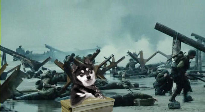05252008-saving-private-ryan_1_00002.jpg