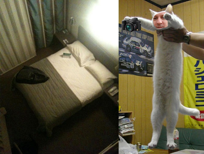Longcat