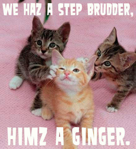ginger.jpg