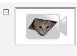 Picture_4.png