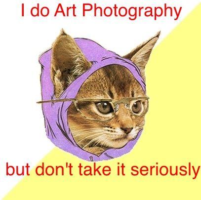 Hipster Kitty