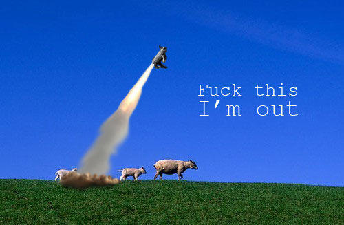 sheep_imout.jpg