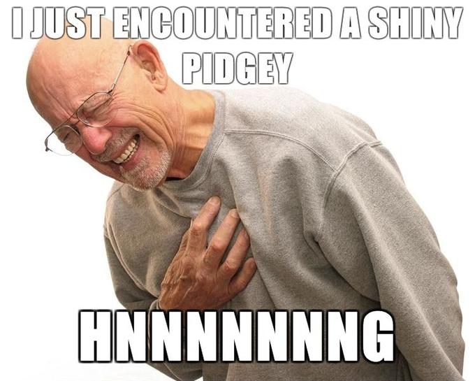 HNNNNNNGGG-i-just-encountered-a-shiny-pidgey-HNNNNNNNG.jpg