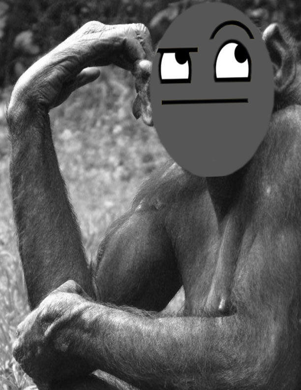 awsome_monkey.jpg