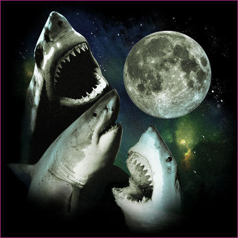 3_shark_moon_full.jpg