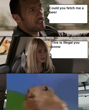 rock_drunk_driving.png