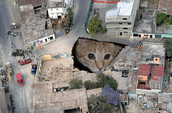 Ceiling Cat