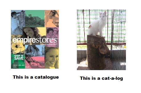 Catalogue_Cat-a-log.jpg