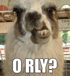 o-rly-4.jpg