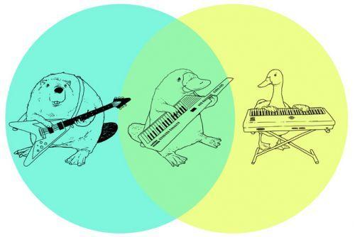 venn.jpg