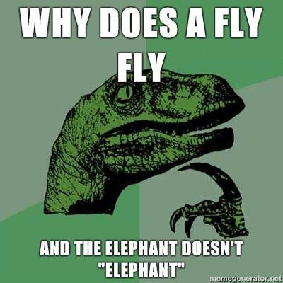 Philosoraptor-Why-does-a-fly-fly-and-the-elephant-doesnt-elephant.jpg