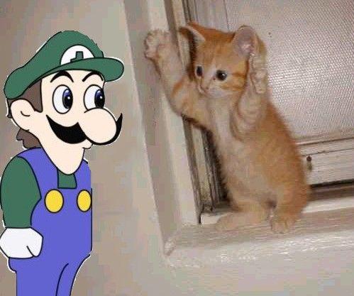 weegeephotoshop1.jpg