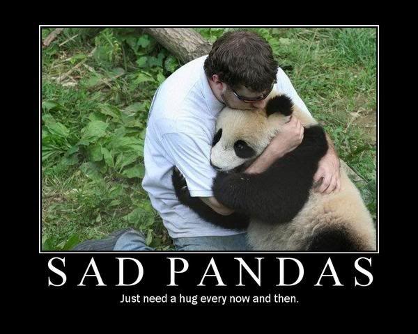 sadpanda.jpg