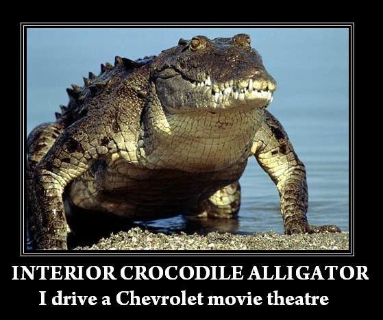 interiorcrocodile.jpg
