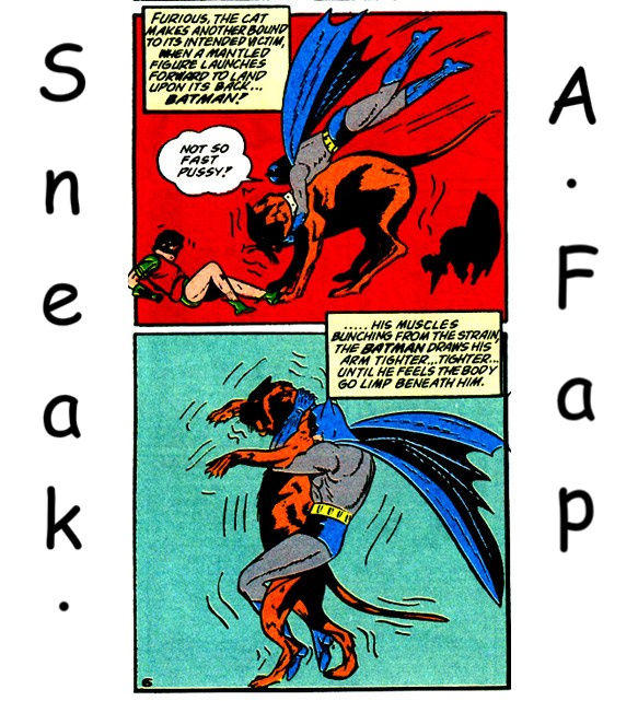 sneak-a-fap.jpg
