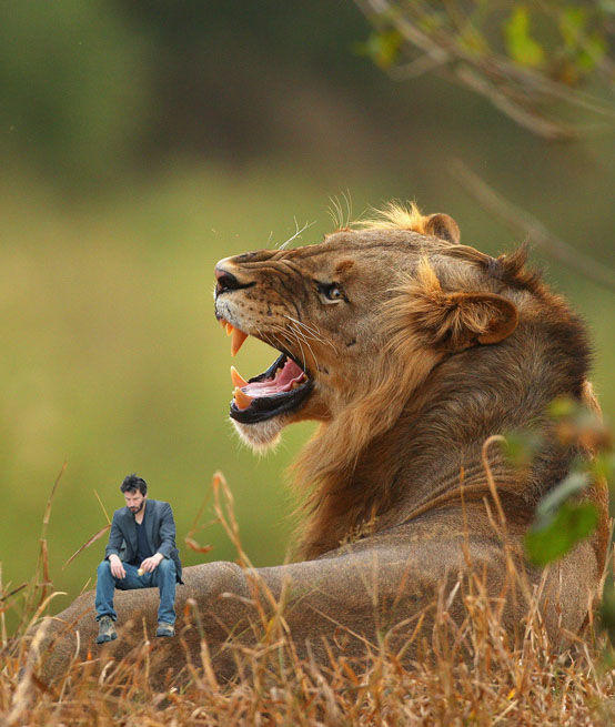 Keanu Is Sad / Sad Keanu