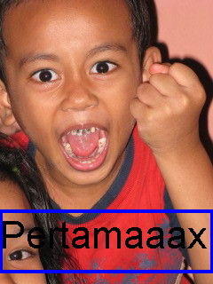 pertamaxojanxv5.jpg