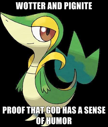 WOTTER-AND-PIGNITE-PROOF-THAT-GOD-HAS-A-SENSE-OF-HUMOR.jpg