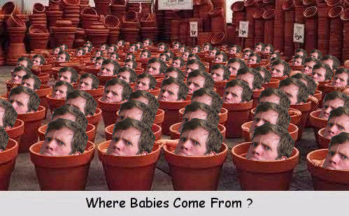 BabiesMoot.jpg