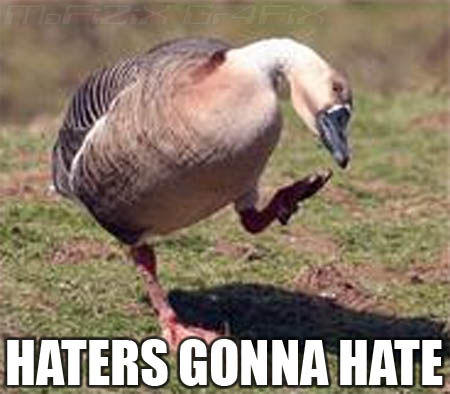 haters_gonna_hate1.jpg