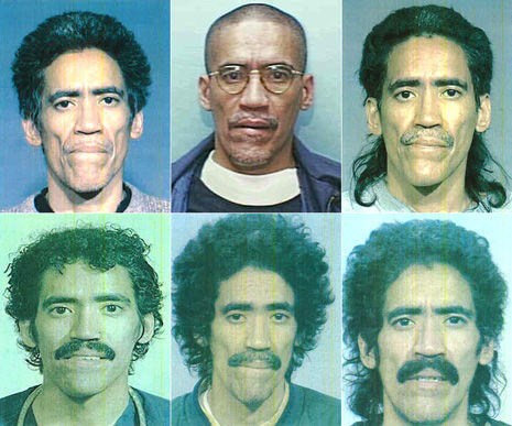 tedwilliamssmallmugs.jpg