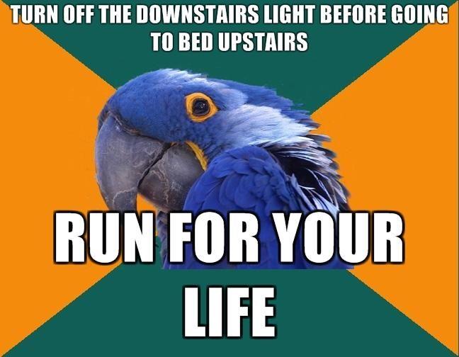 1295135957173.jpg