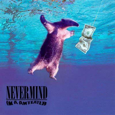 nevermind.jpg