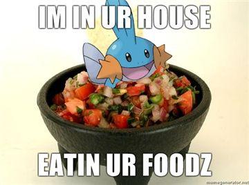 IM-IN-UR-HOUSE-EATIN-UR-FOODZ.jpg