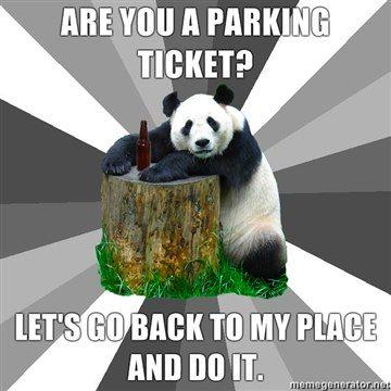 panda.jpg