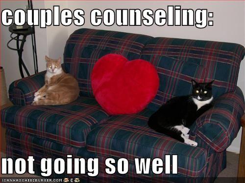 funny-pictures-your-cats-are-in-couples-counseling.jpg