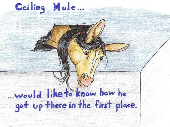 Ceiling Mule