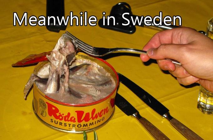 meanwhilesweden.jpg