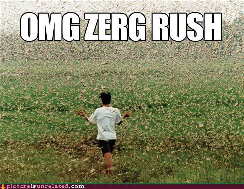 omg-zerg-rush.jpg