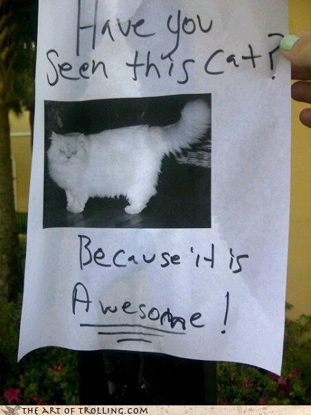chatroulette-trolling-untitled35.jpg