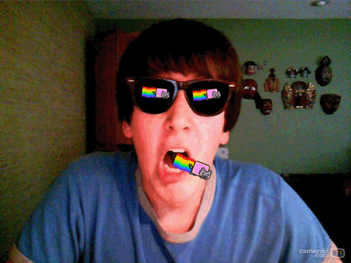 tumblr_lk8fa1FXvC1qfyru6o1_500.gif