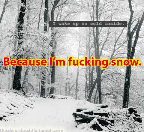 tumblr_ll9rhdrU6c1qbbzjyo1_500.jpg