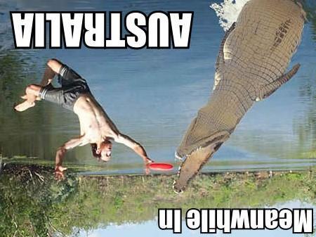 1307274621932.jpg