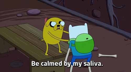 tumblr_lofvxyGrCJ1qj3n00o1_500.gif