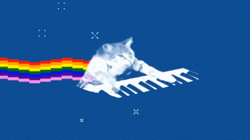 tumblr_lnptqxJqn11qb7evco1_500.gif