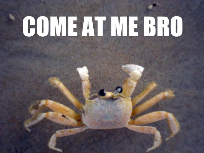 COMEATME.jpg