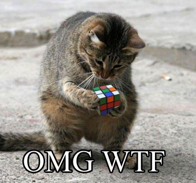 OMGWTFkitty.jpg
