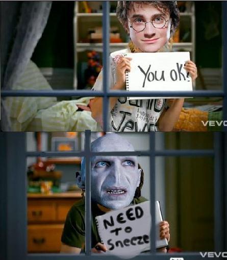 tumblr_lk4j97wm9n1qcbkfqo1_500.jpg