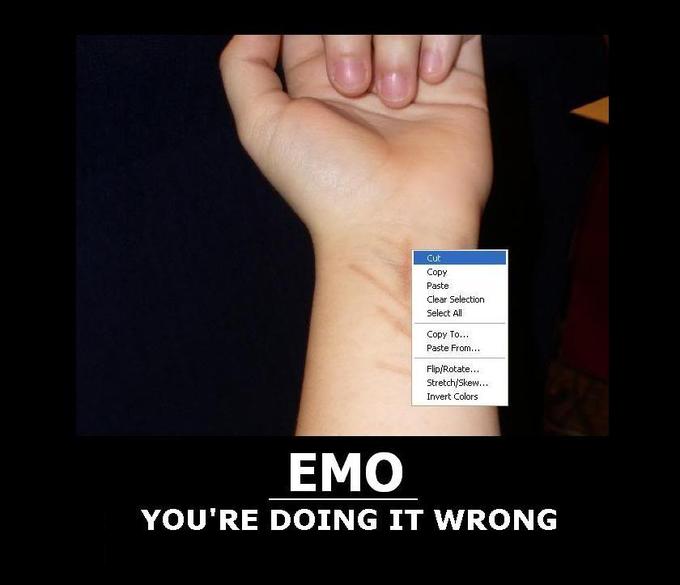 1204268245999.jpg