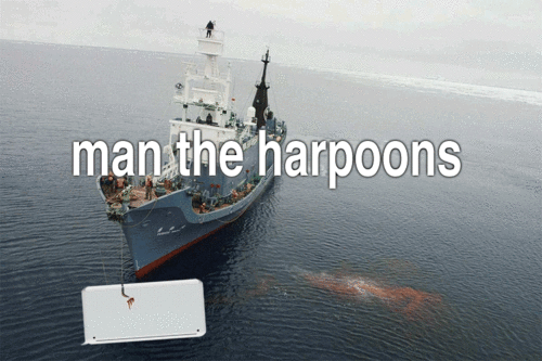 tumblr_lr8qdnLp8E1qaa5a0o1_500.gif