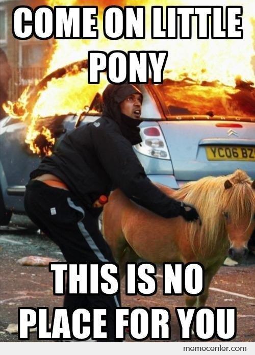 Come-On-Little-Pony_ec5fc313160b8c7193ddf8e8064ec55b.jpg